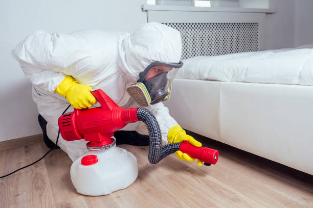 Best Pest Control Near Me  in New Baltimore, VA