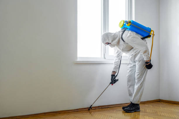 Best Best Pest Control Companies  in New Baltimore, VA