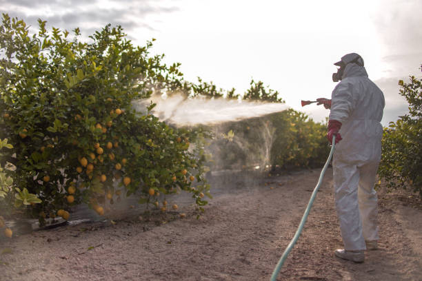Best Best Pest Control Companies  in New Baltimore, VA